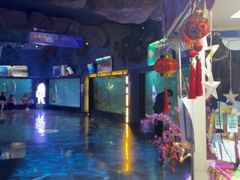 -烟台海昌鲸鲨海洋公园