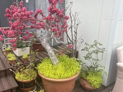 -哈瓦那雪茄酒廊超市(武汉天地分店)