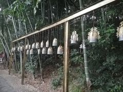 -石燕湖生态旅游景区
