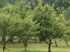 -滨湖塘西河公园