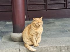 -西园戒幢律寺
