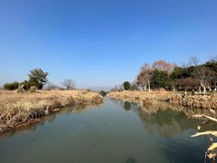 -良渚古城遗址公园