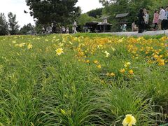 -富田农场