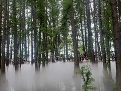 -东湖落雁景区