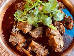 -友乐居羊蝎子(西直门店)