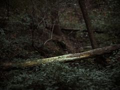 -崂山巨峰游览区