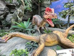 -国家自然博物馆