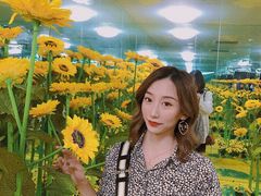 -天津梵高星空艺术馆(天河城旗舰店)