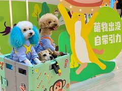 -金茂览秀城