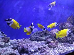 景点-嘉兴海底世界