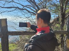 -王顺山国家森林公园