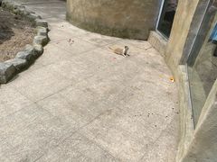-合肥野生动物园