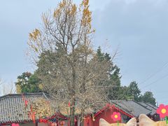 -金堂县云顶石城风景区