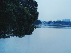 -东山湖公园