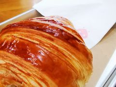 -WHEN PIGS FLY当猪飞