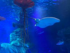 -沈阳海洋探索中心