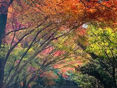 -柯岩风景区