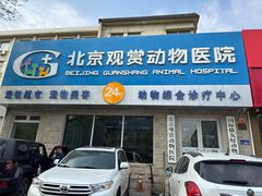 -北京观赏动物医院·24小时大型综合·猫专科·异宠专科