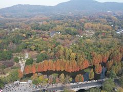 -紫金山山顶公园