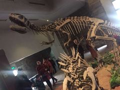 -自贡恐龙博物馆