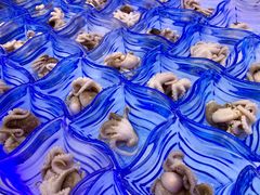-澜悦港海鲜体验主题餐厅