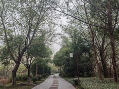 -西溪国家湿地公园