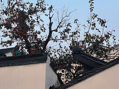 -北寺塔