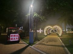 -野狸岛