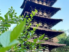-北京世界公园