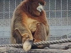 -大连森林动物园