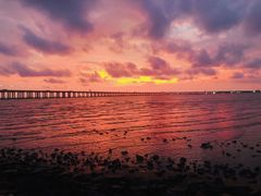 -宝安西湾红树林湿地公园