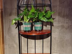 -放牛郎·正宗贵州黄牛肉馆(双高广场店)