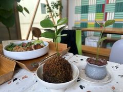 -Green Option(官舍店)