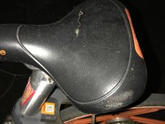 -南京奥林匹克体育中心-体育馆