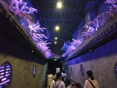 -芜湖方特东方神画