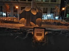 -小樽运河广场(運河プラザ)