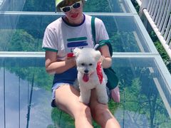 -藏龙百瀑风景区