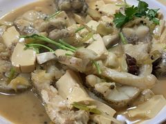 -煲来饱去冷水鱼