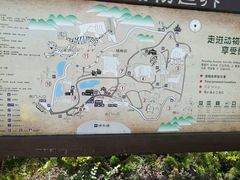 -青岛森林野生动物世界