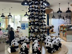 -青藏高原野生动物园