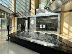 -Apple零售店(华贸购物中心店)