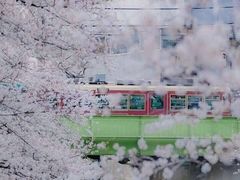 -无界眼镜MaxLess(滨江星光大道店)
