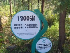 -北京十三陵国家森林公园蟒山景区