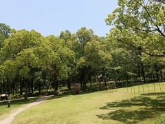 -嘉北郊野公园