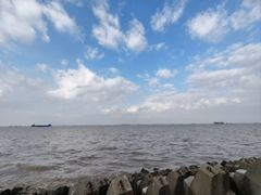 -上海滨江森林公园
