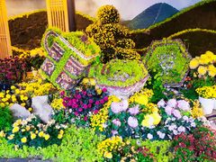 -杭州植物园