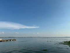 -丫丫蟹庄·苏式园林农家乐·阳澄湖大闸蟹(阳澄湖莲花岛店)