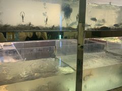 -小乡小镇·传承桐庐土菜·老板亲自烧的菜