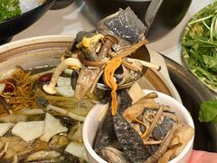 -土连锅·现熬养生汤锅(梁家巷店)