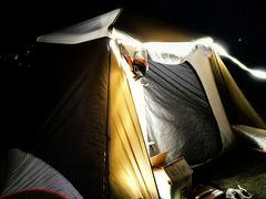 -春花秋色城市公园